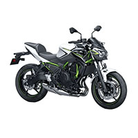 Carénage Kawasaki Z650