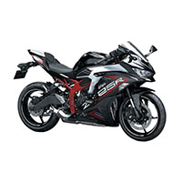 Carénage Kawasaki ZX25R