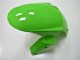 Carénage Moto Kawasaki ZX10R 2011-2015 - Vert Noir Brillant
