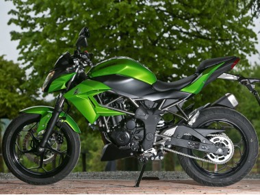 Carénages Moto Kawasaki Z250/Z300 2015-2016 - Vert Noir Mat