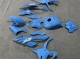 Carénages Moto BMW S1000RR 2023-2024 - Bleu Brillant