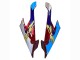 Carénage Moto BMW S1000RR 2019-2022 - Blanc Bleu Rouge Noir