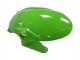 Carénages Moto Kawasaki ZX6R 2023-2025 - Vert Noir