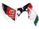 Carénages Moto Aprilia RS4 50 125 2012-2019 - Blanc Rouge Vert Noir Brillant