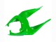 Carénages Moto Kawasaki ZX6R 2009-2012 - Vert Noir Brillant