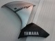 Carénage Moto Yamaha YZF 1000 R1 2009-2011 - Argent Noir