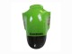 Carénage Moto Kawasaki ZX12R 2002-2006 - Vert Noir Brillant Elf Touch4 Monstre