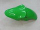 Carénages Moto Kawasaki ZX9R 2000-2001 - Vert Argent Noir