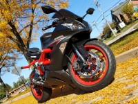 J'ai refait les carénages de ma ZX6R et j'étais sceptique au début quant à l'idée d'aller sur le marché secondaire. Erick m'a aidé tout au long du processus en restant en contact avec moi et en répondant à toutes mes questions. Le service client était excellent et le produit était incroyable. C'était une installation facile et maintenant mon vélo est superbe ! J'ai déjà recommandé ce site à mes amis et j'y retournerai certainement si j'ai à nouveau besoin de carénages !